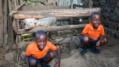 Pig Farming in Rwanda
