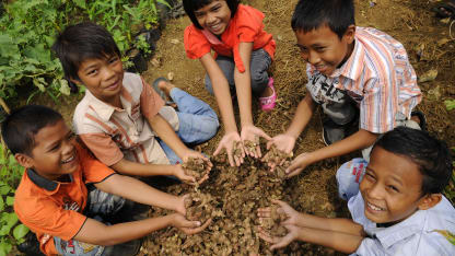 Red Ginger Family Business Launch