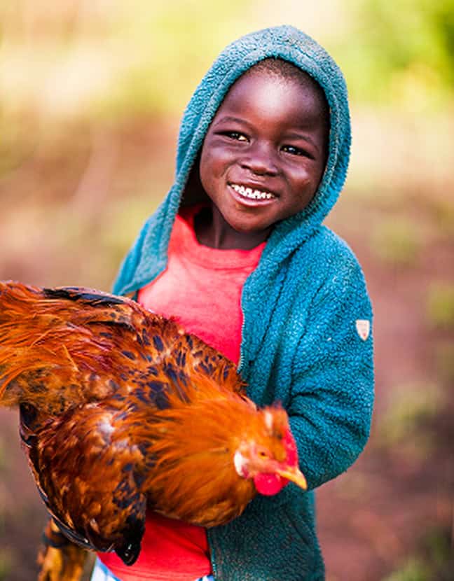 A child holding a chicken in his arms.