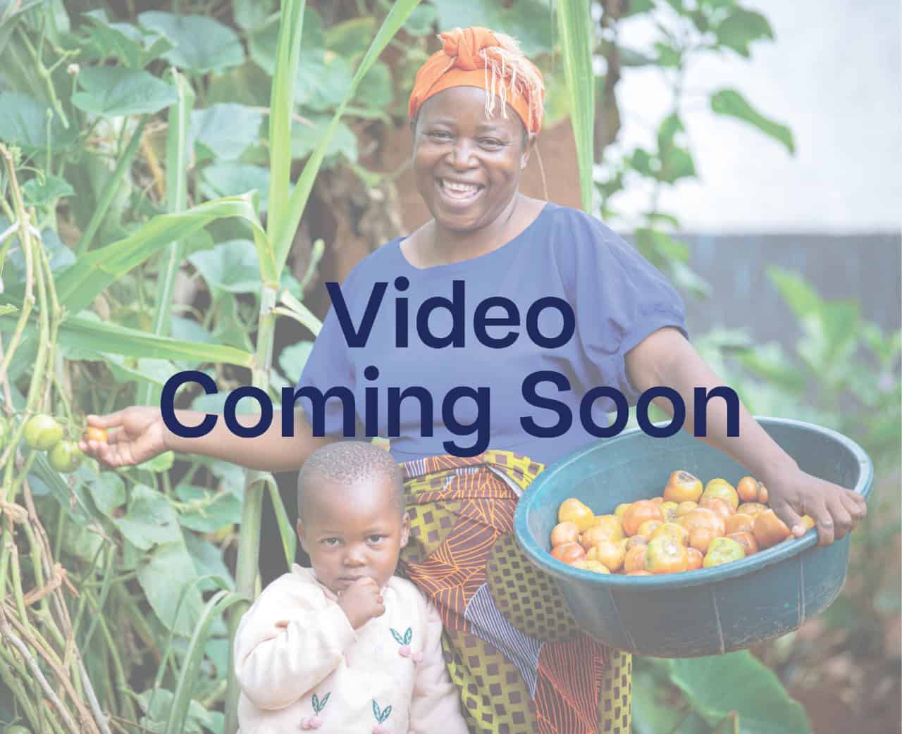 Compassion Christmas video is coming soon