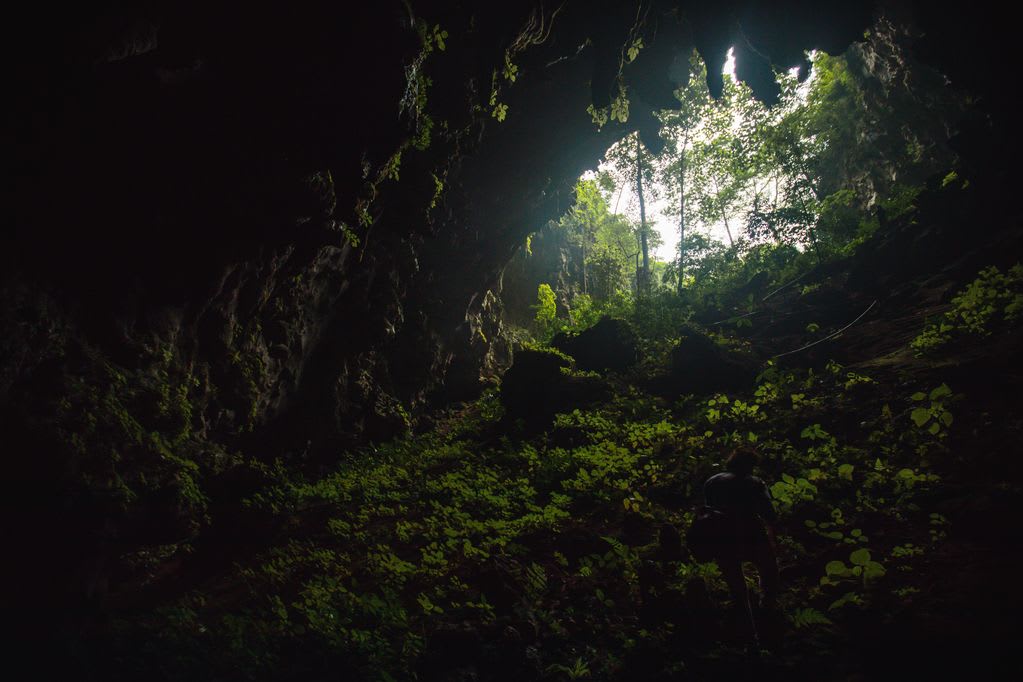 The view into daylight from the mouth of a cave in Thailand.