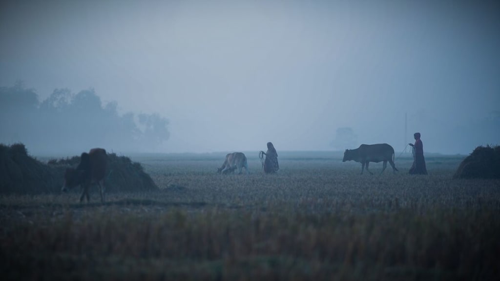 A foggy scene of women working in the fields early in the morning
