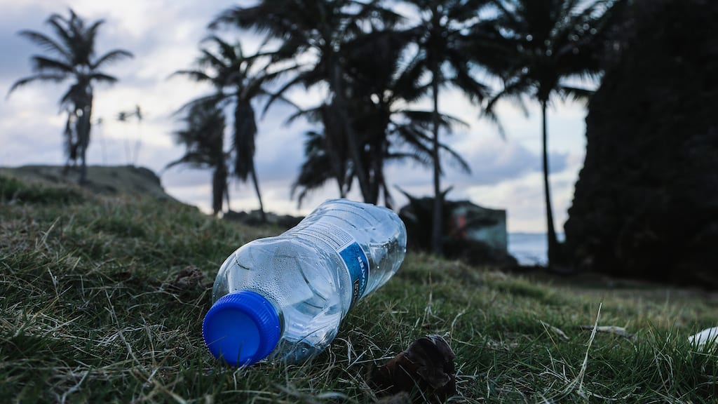 A plastic water bottle on its side, on the ground, amongst grass and palm trees in the background.