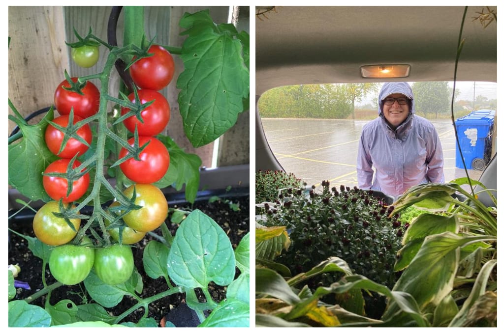Compassion Canada staff member Ruth and her famous tomatoes