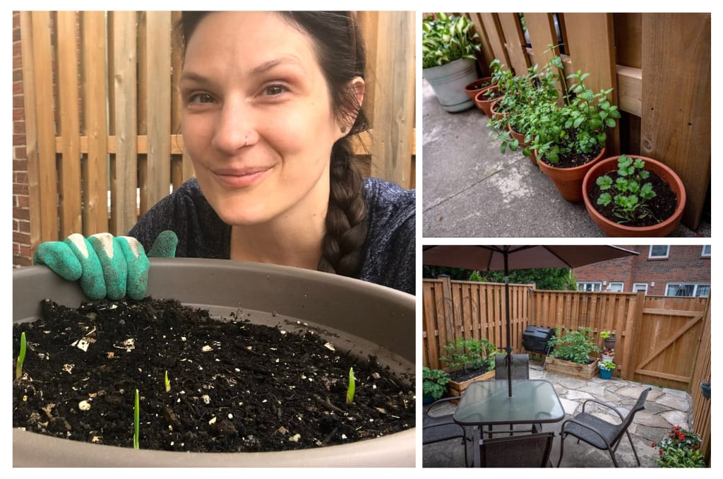 Compassion Canada staff member Aveleen shows off her baby garlic sprouts and her productive patio garden
