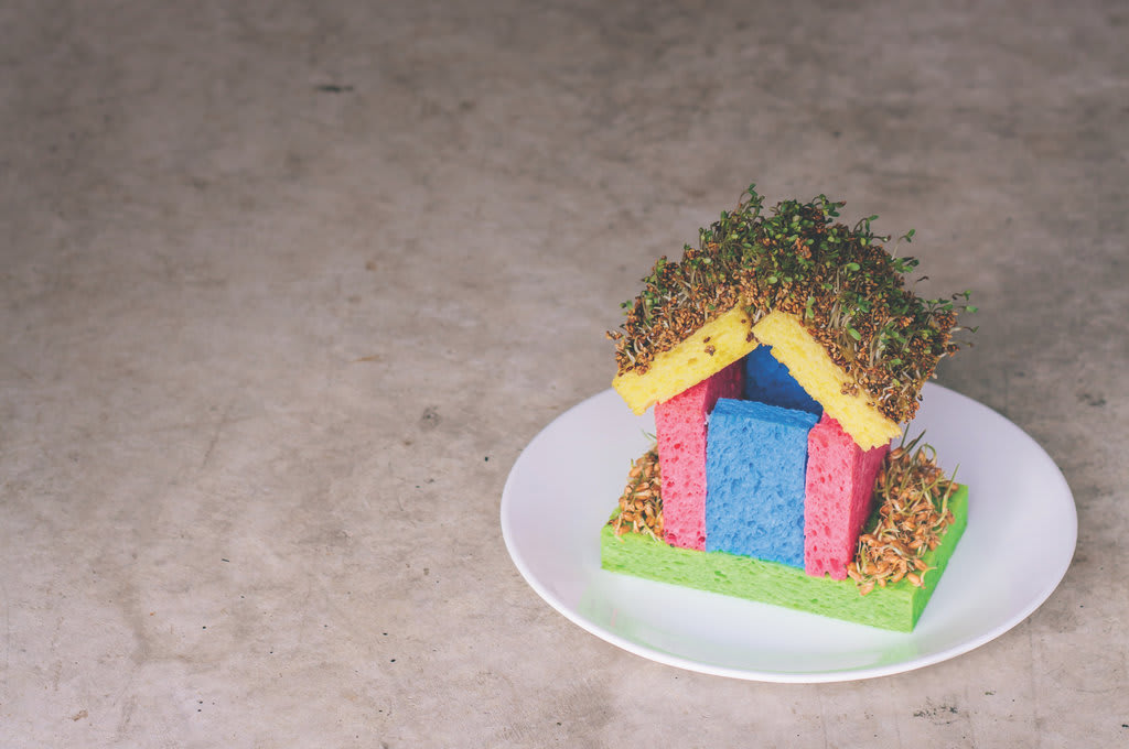 A little house made of sponges and covered in sprouts on a plate.