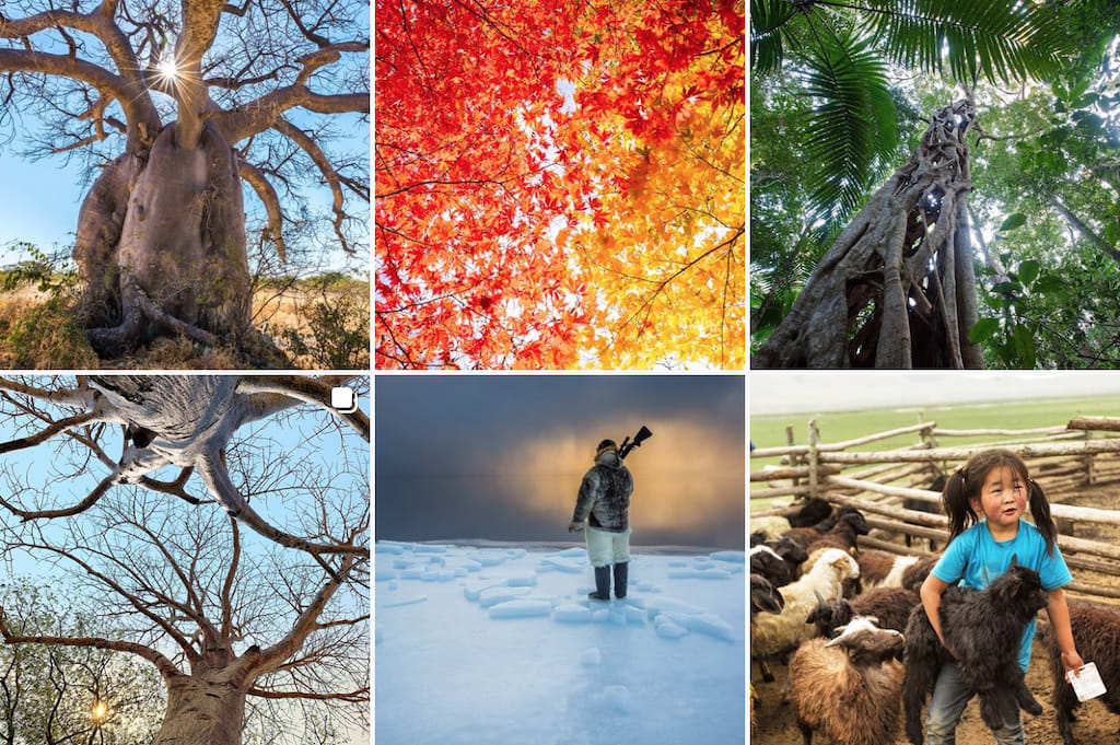 A grid of photos from National Geographic's Instagram account.
