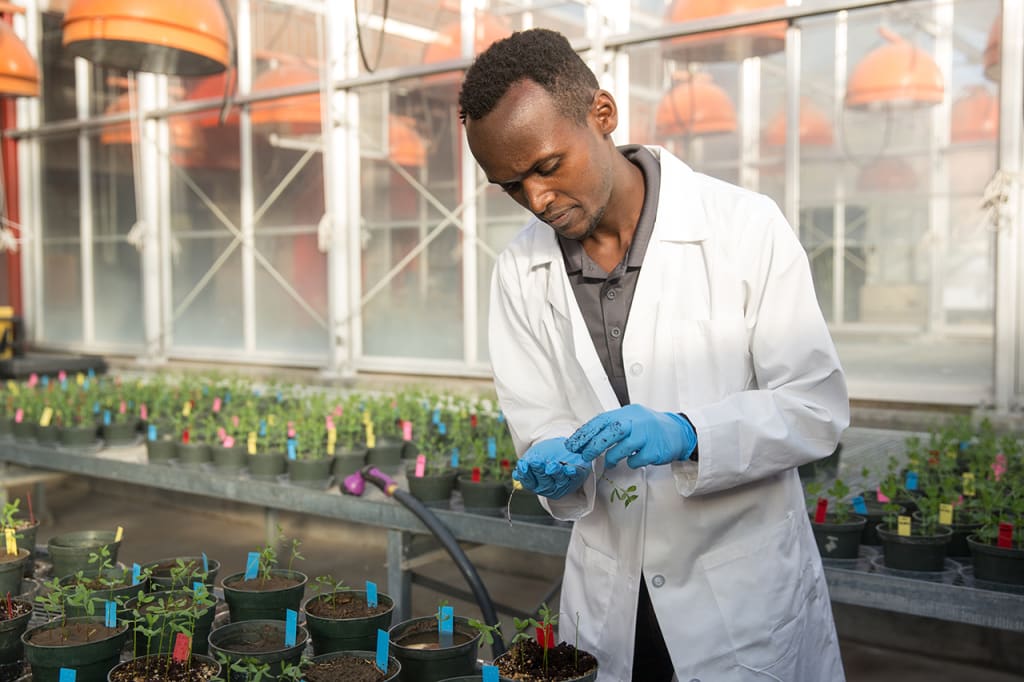 A man is in a greenhouse with a lab coat. He is surrounded in pots of plants.