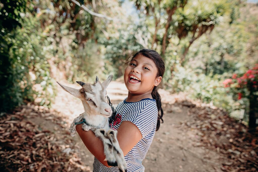 Girl wearing a blue stripped t-shirt holds a goat while laughing.
