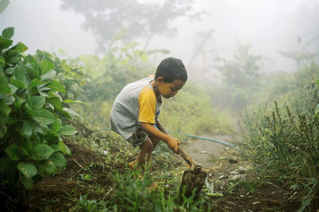 A young boy is gardening.