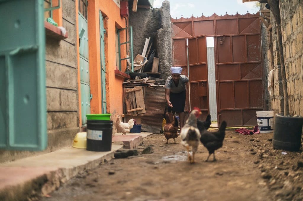 Woman feeding chickens outside