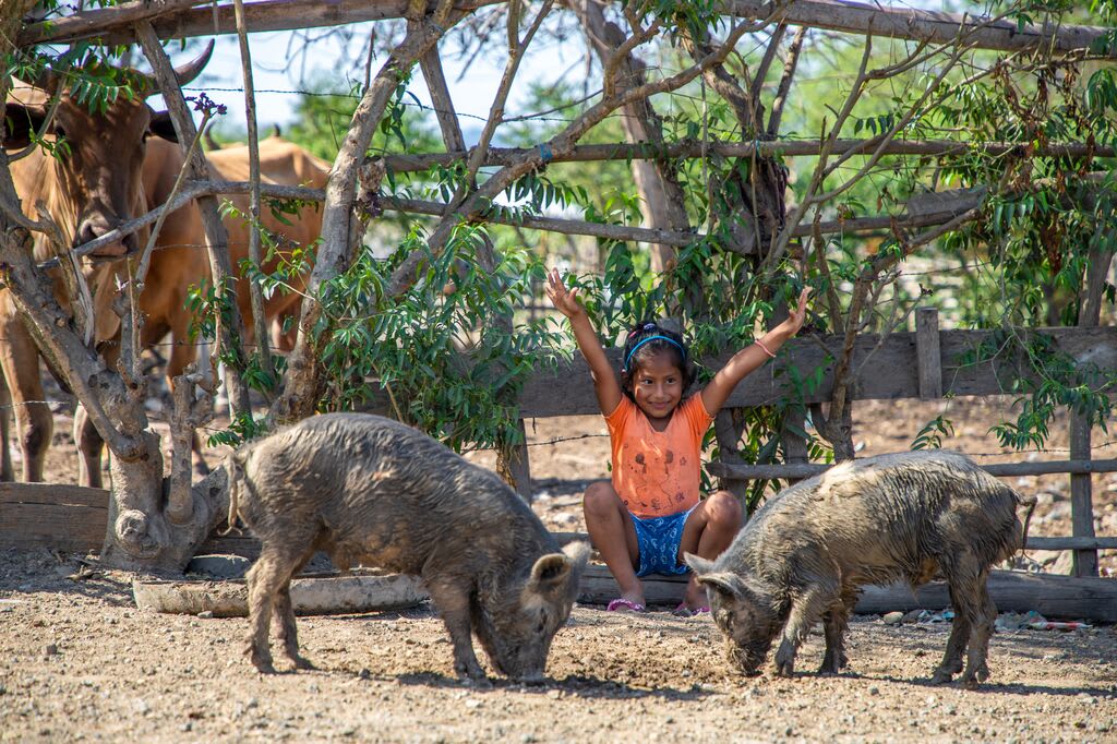 Little girl wearing orange shirt raises her arms with pigs grazing in front of her.