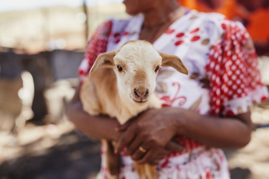 A women wearing a red and white dress is holding a baby goat.