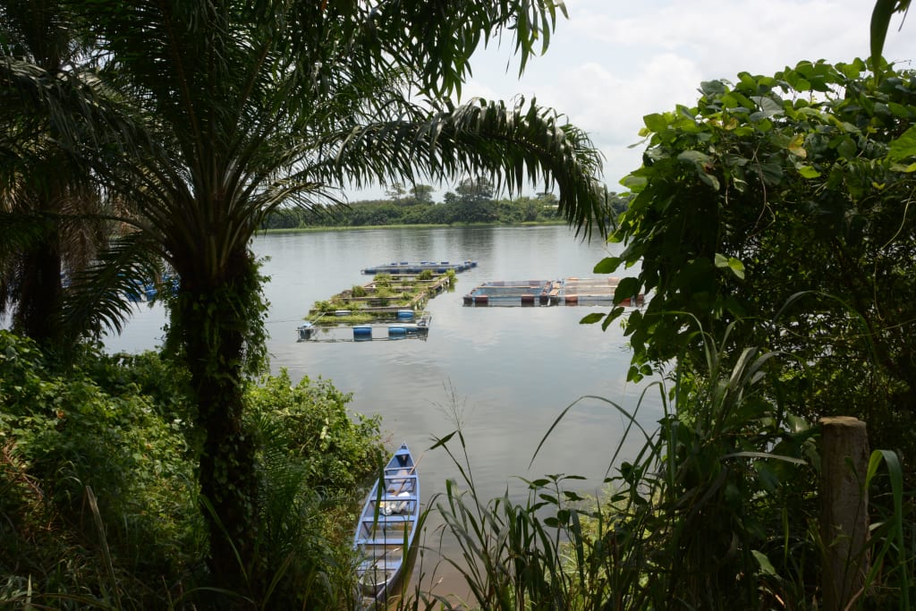 View of lake Volta from trees and a small blue canoe on the water