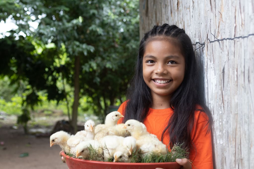 A young girl in a red shirt stands smiling holding a basket of baby chickens. These chicks will help her family to have eggs to eat and sell.