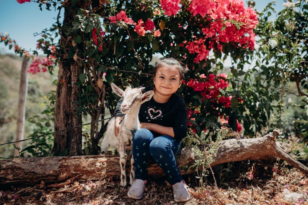 Little girl sits on a log with a goat with blooming red flowers behind.
