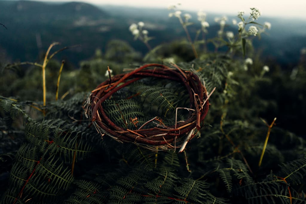 A crown of thorns sits on a bed of greenery.