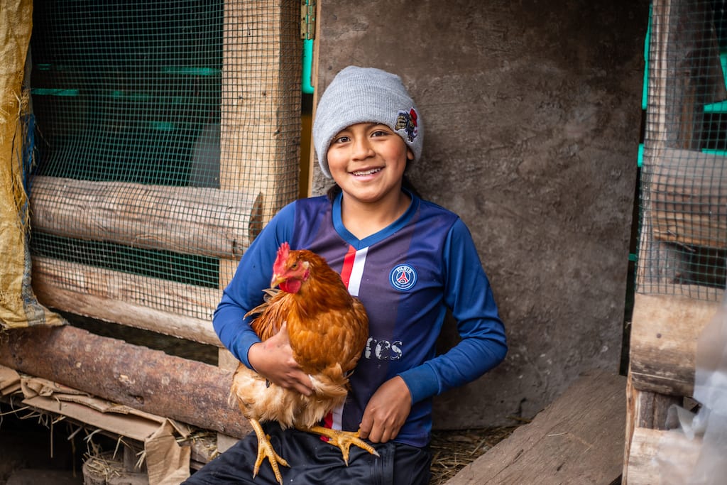 A boy holding a chicken.