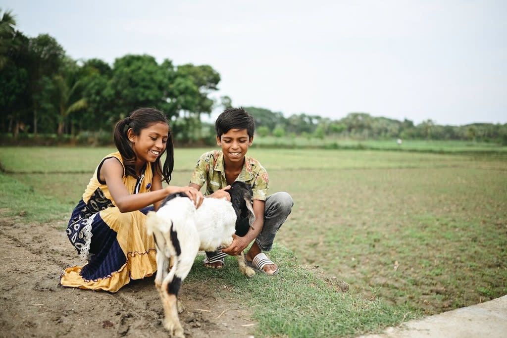 A boy and girl playing with a goat