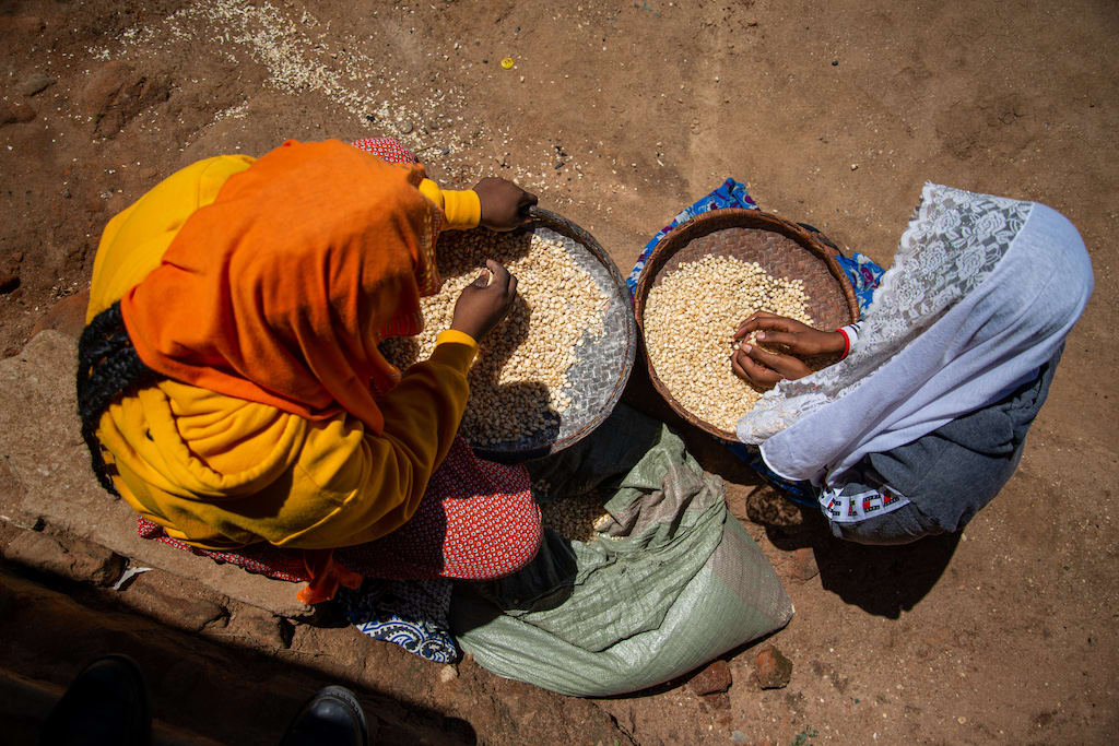 Sarah is on the left wearing a yellow head covering and Maria is on the right wearing a blue head covering.They are outside their home removing chaff from a sack of maize with a winnowing basket.