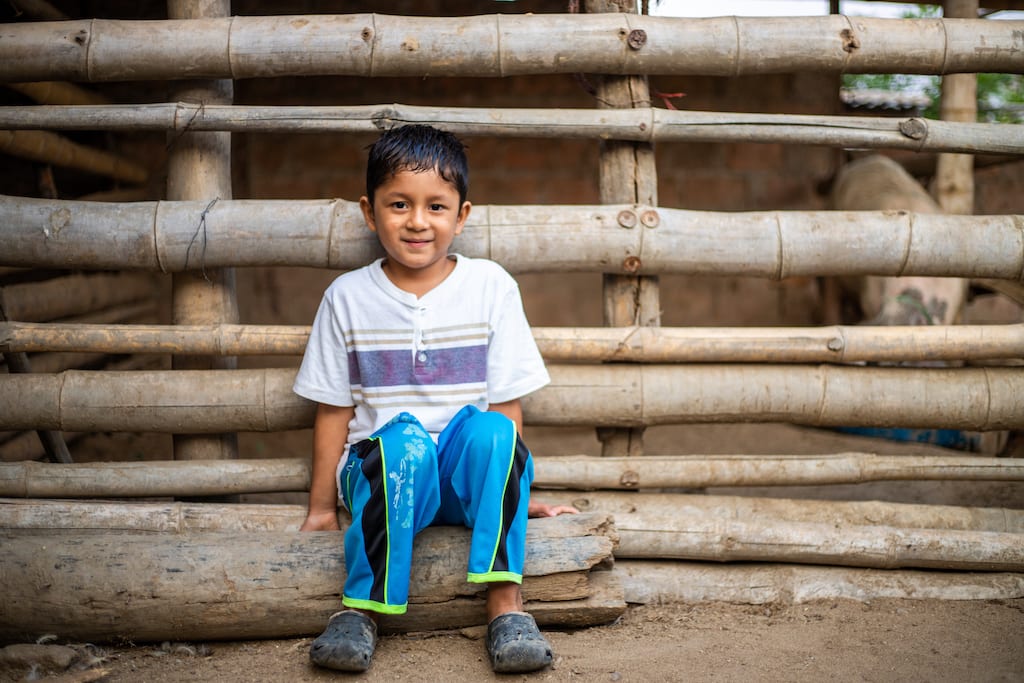 A young Ecuadorian boy sits against a fence made of logs.