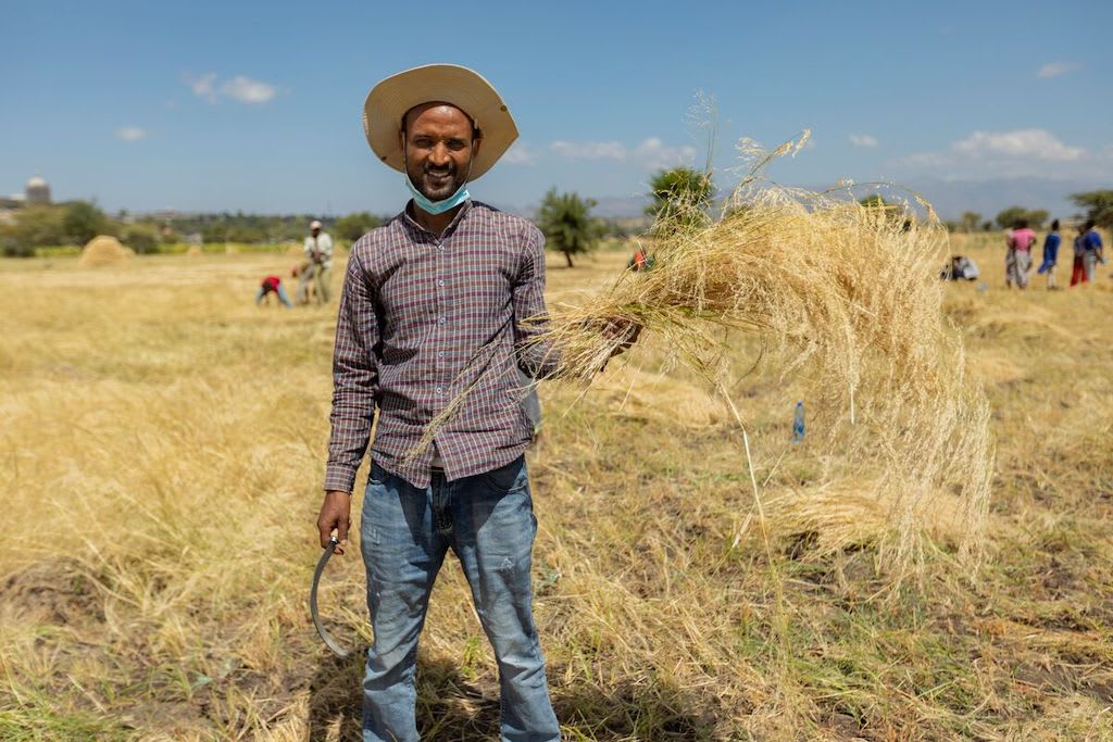 A young man holds a bunch of harvested wheat in one hand and a harvesting tool in the other. He is grinning and squinting against the sun, and wearing a wide-brimmed hat, plaid button-up shirt and jeans.