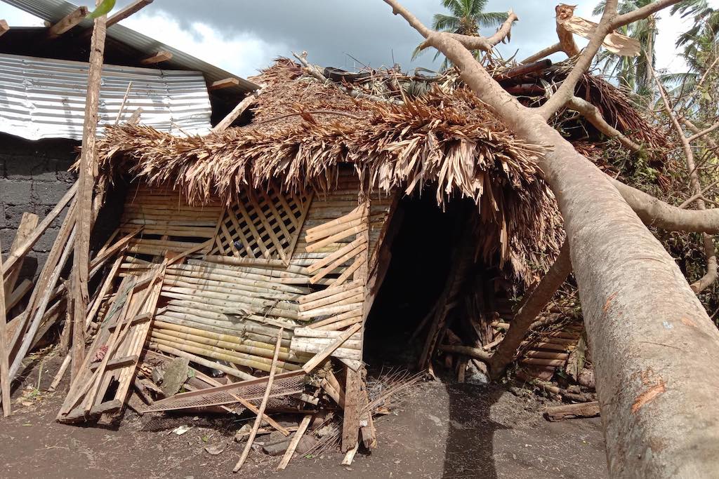 A mangled bamboo home, crushed by a tree.
