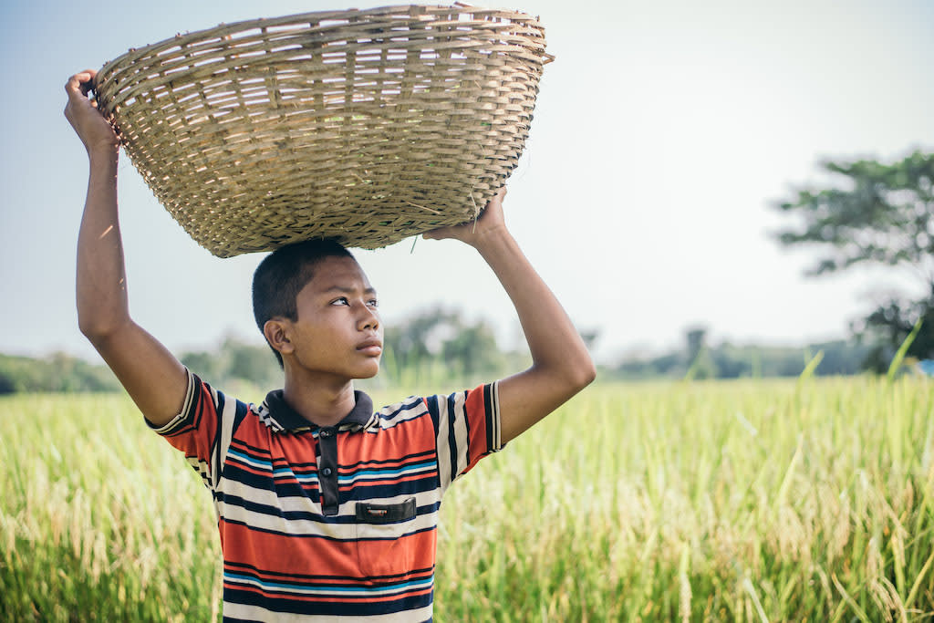 In Bangladesh, 16-year-old Rik is wearing a red and black striped shirt and is standing in a field holding a basket on his head that he uses to gather grass in. He uses the grass to feed his cow.