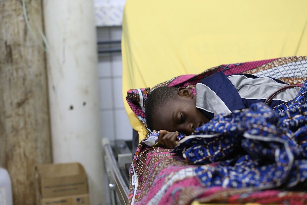 Wisdom lays on a bed covered in colourful patterned blankets.
