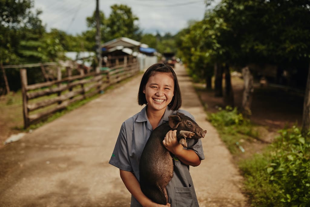 A Thai girl holding a pig in her arms.
