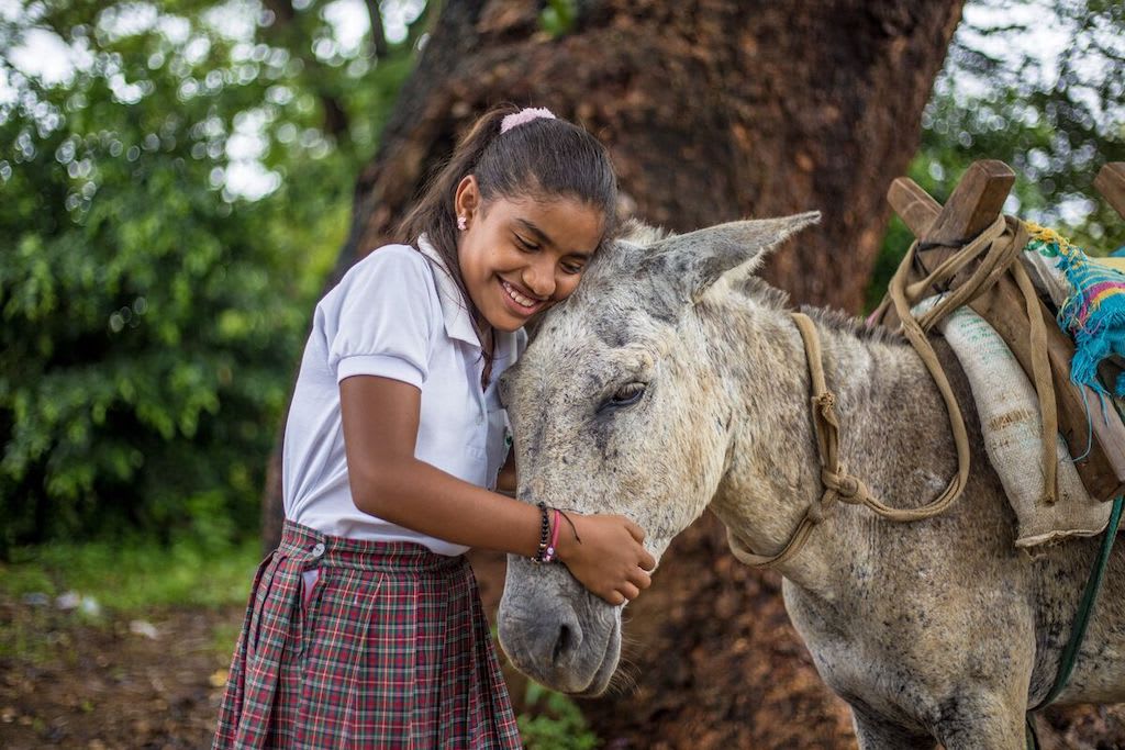 Dianis hugs the donkey that brings her and her brother to school.