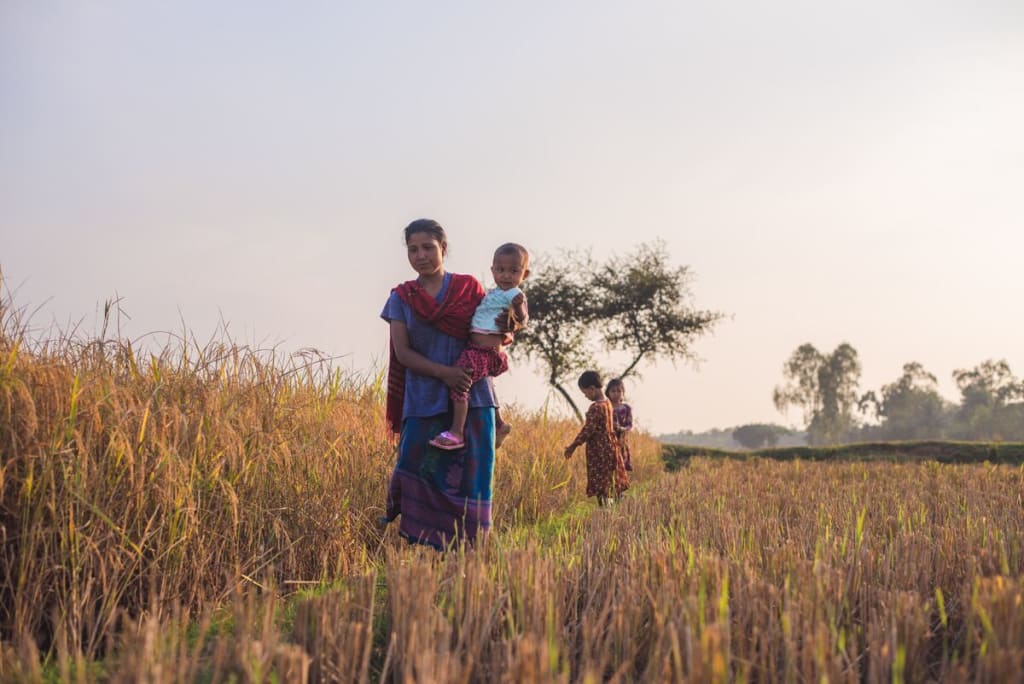 A woman carrying a small child walks through the fields with two children close behind.