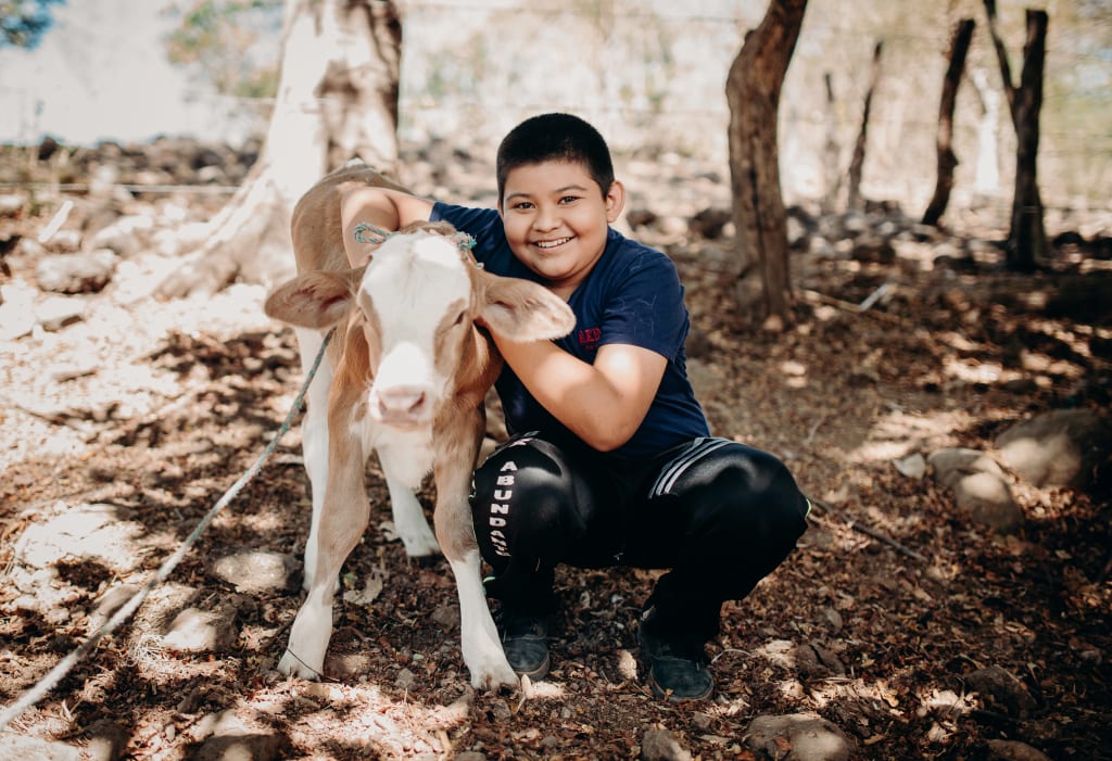 A boy stands with a cow given to him from an income generation gift.