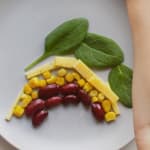 Links to Read our new devotional, <I>Dinner Table Devos</I>, now on the Bible App