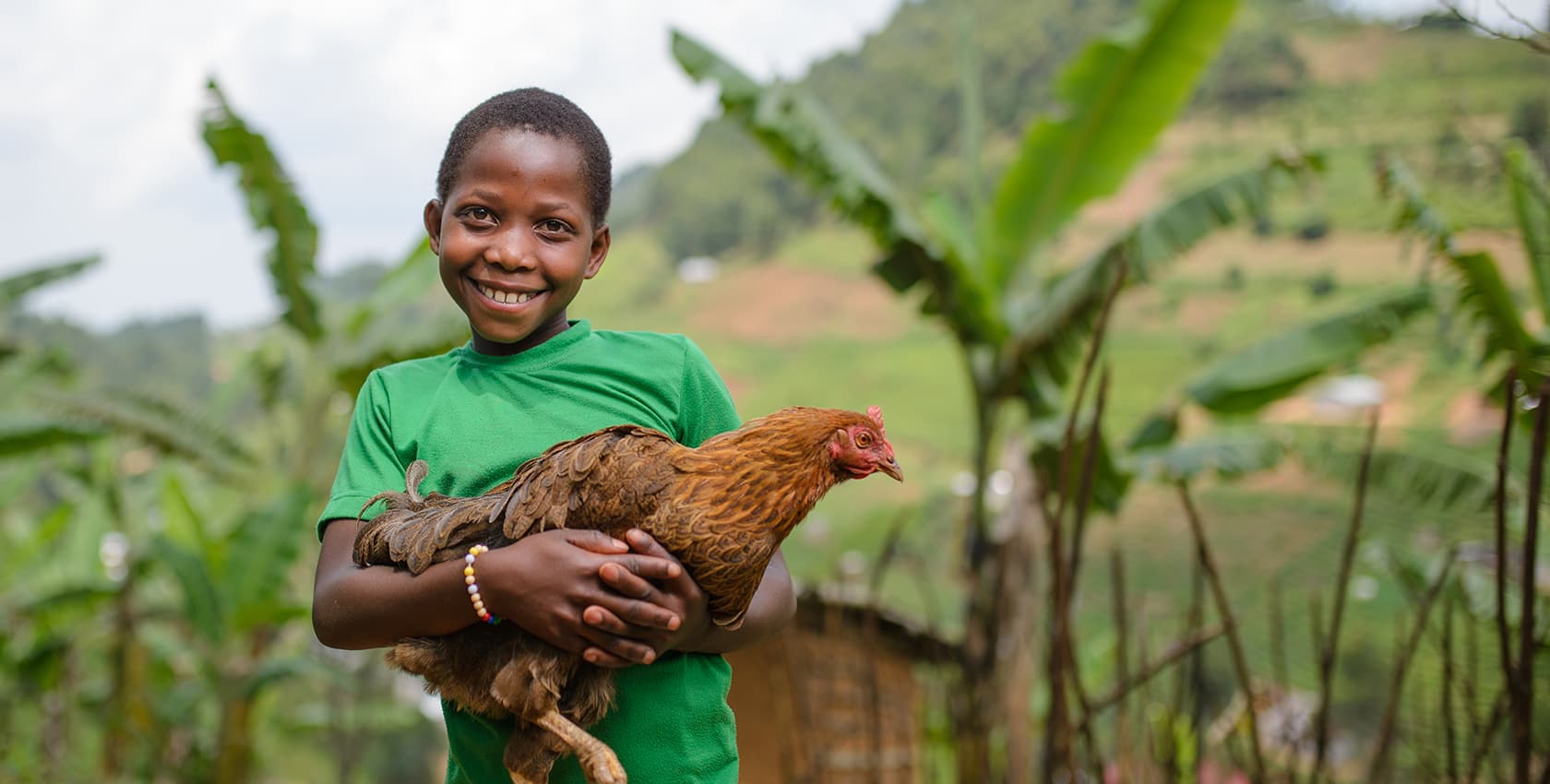 A boy in a green shirt holds a chicken.