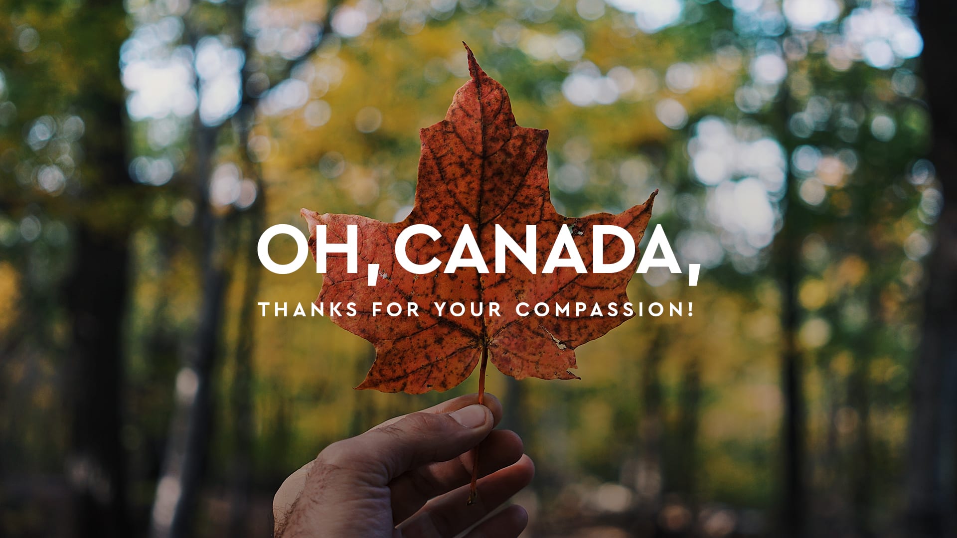 Photo of someone holding up a maple leaf in a forest with the words, "Oh Canada, thanks for your compassion!"
