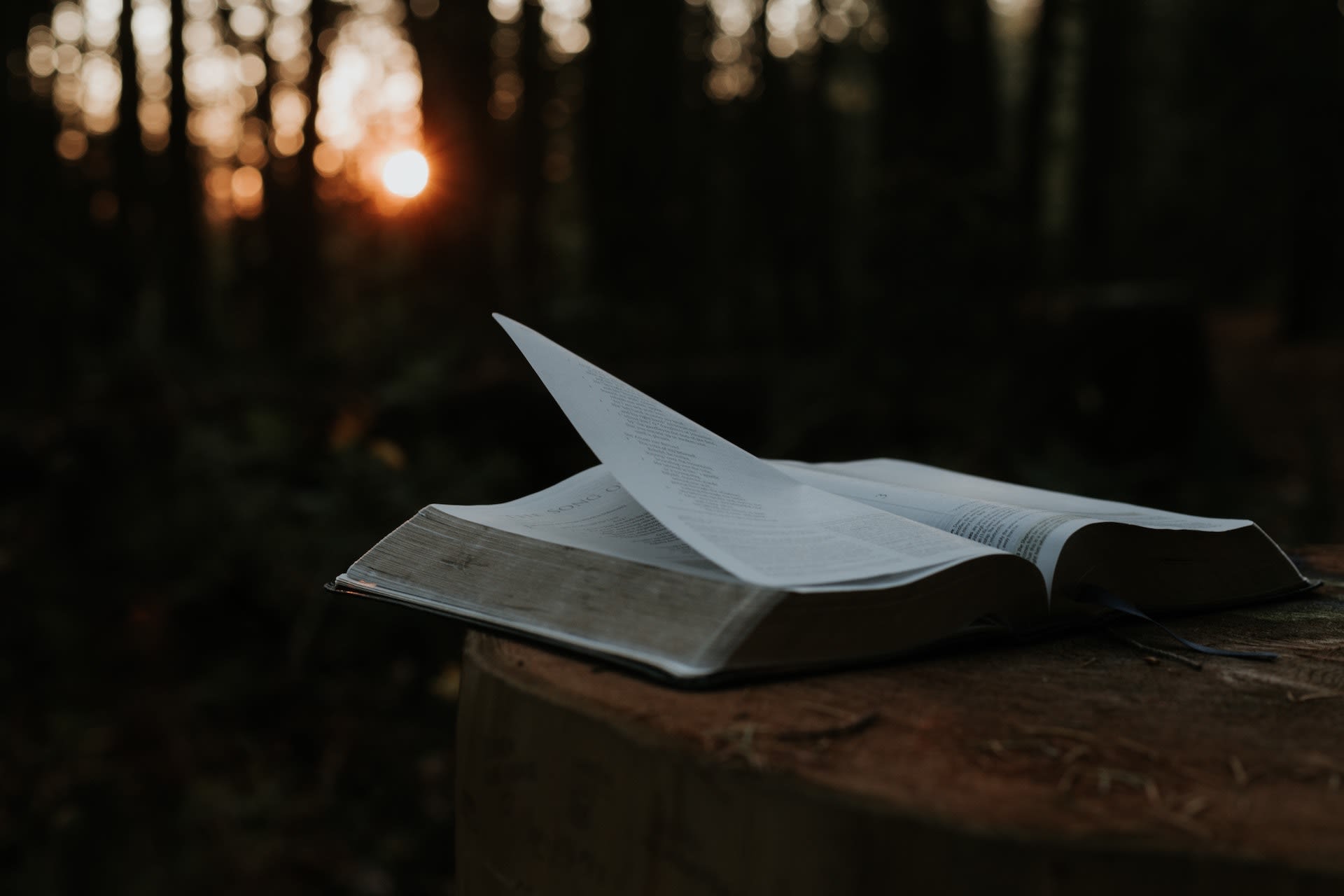 A open bible on a table in a forest.