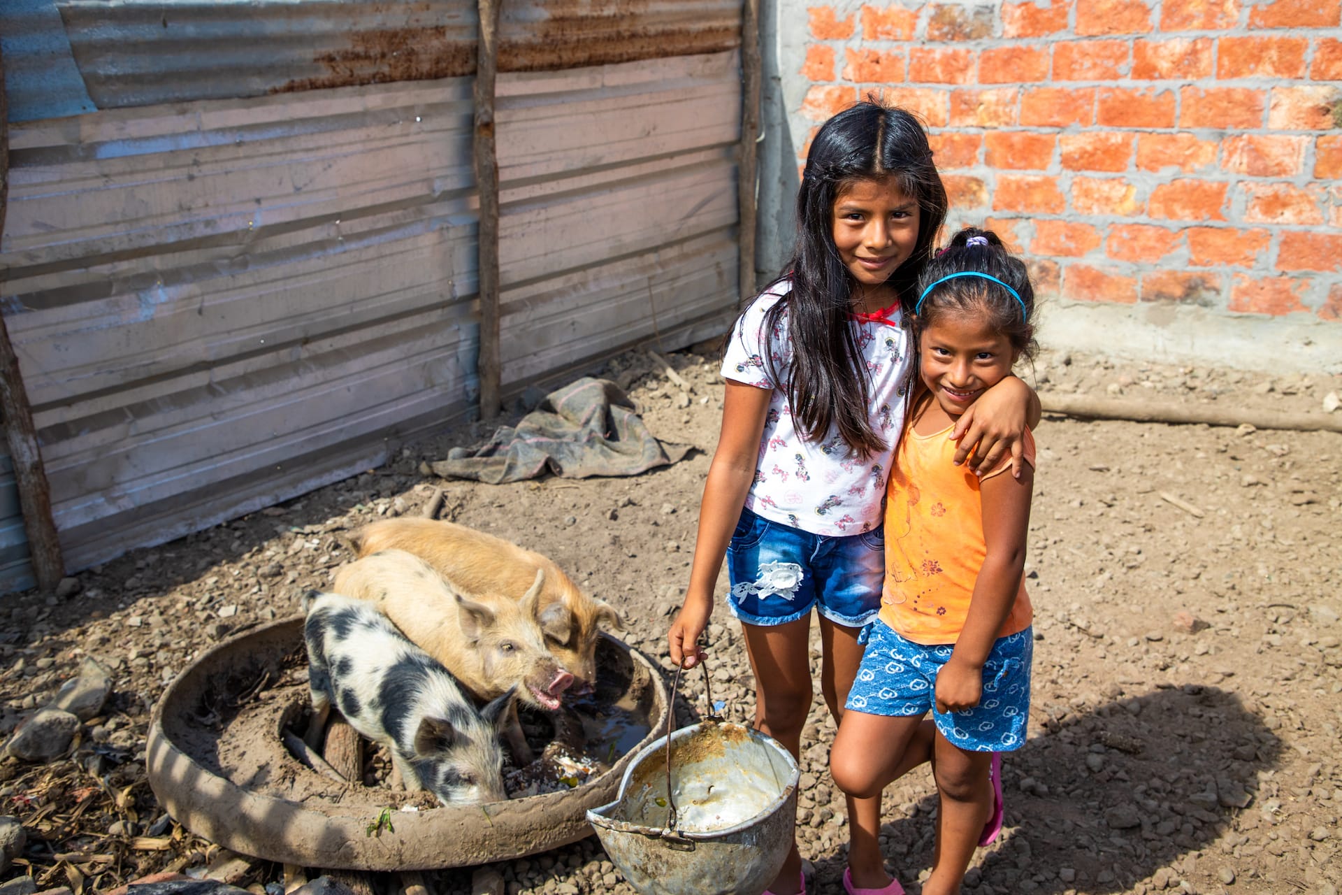Two little girls are pictured smiling beside 3 pigs.