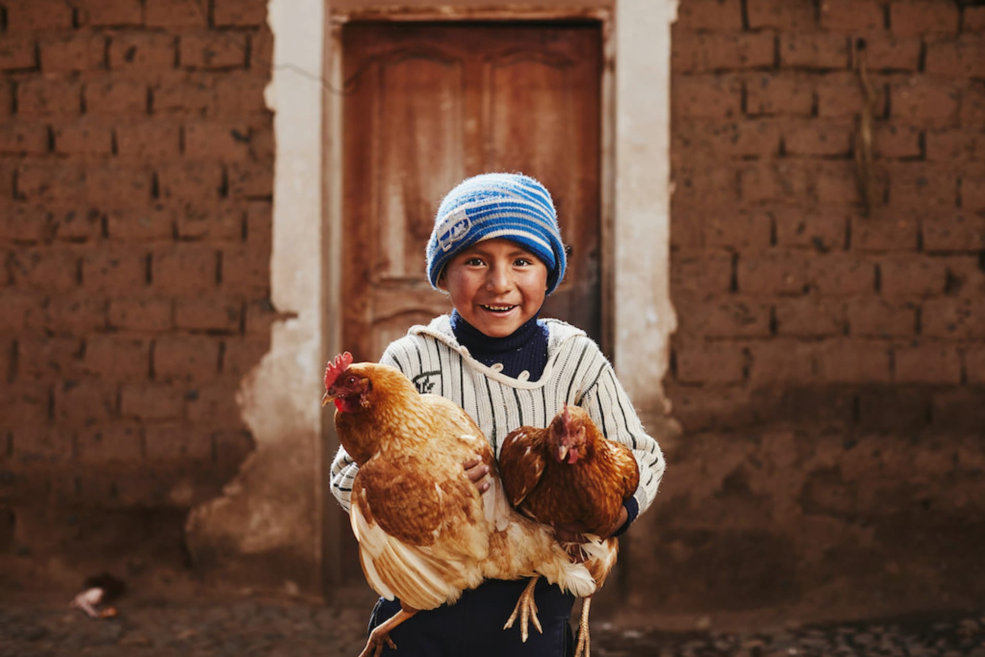 A boy in a striped shirt and blue beanie holding two chickens in his arms.