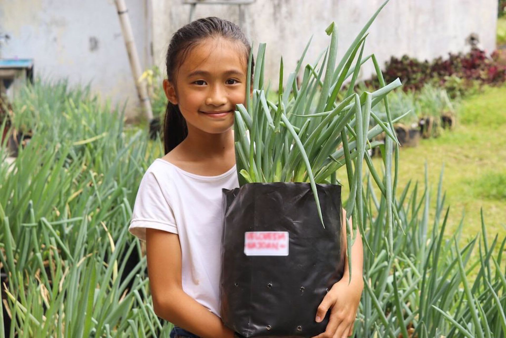 An Indonesian girl holds a large plant.