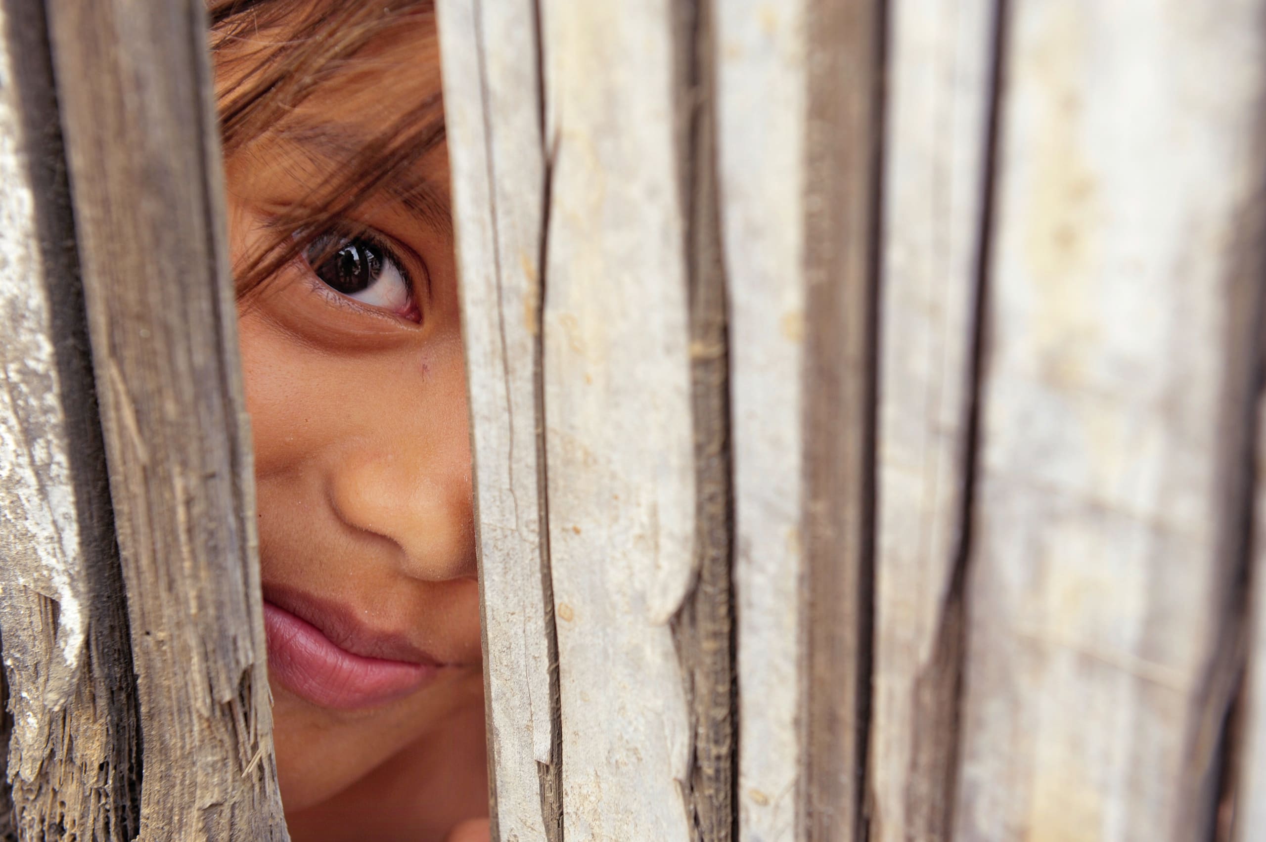 a young girl peeks through the gap in a wooden fence with a shy smile.