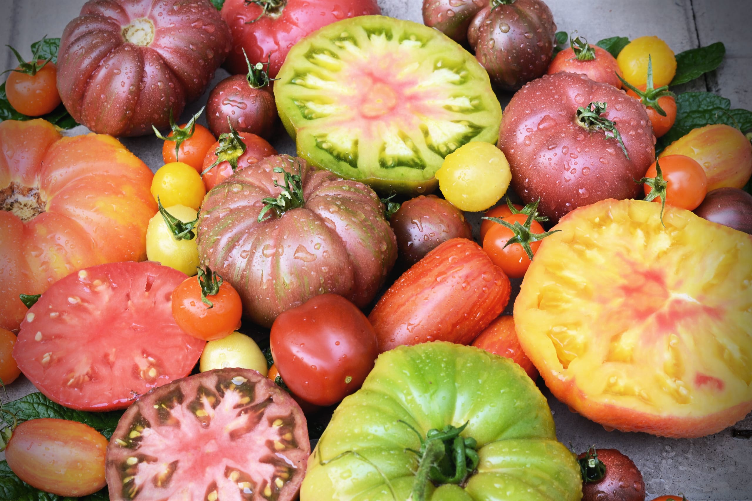 A grouping of colourful tomatoes