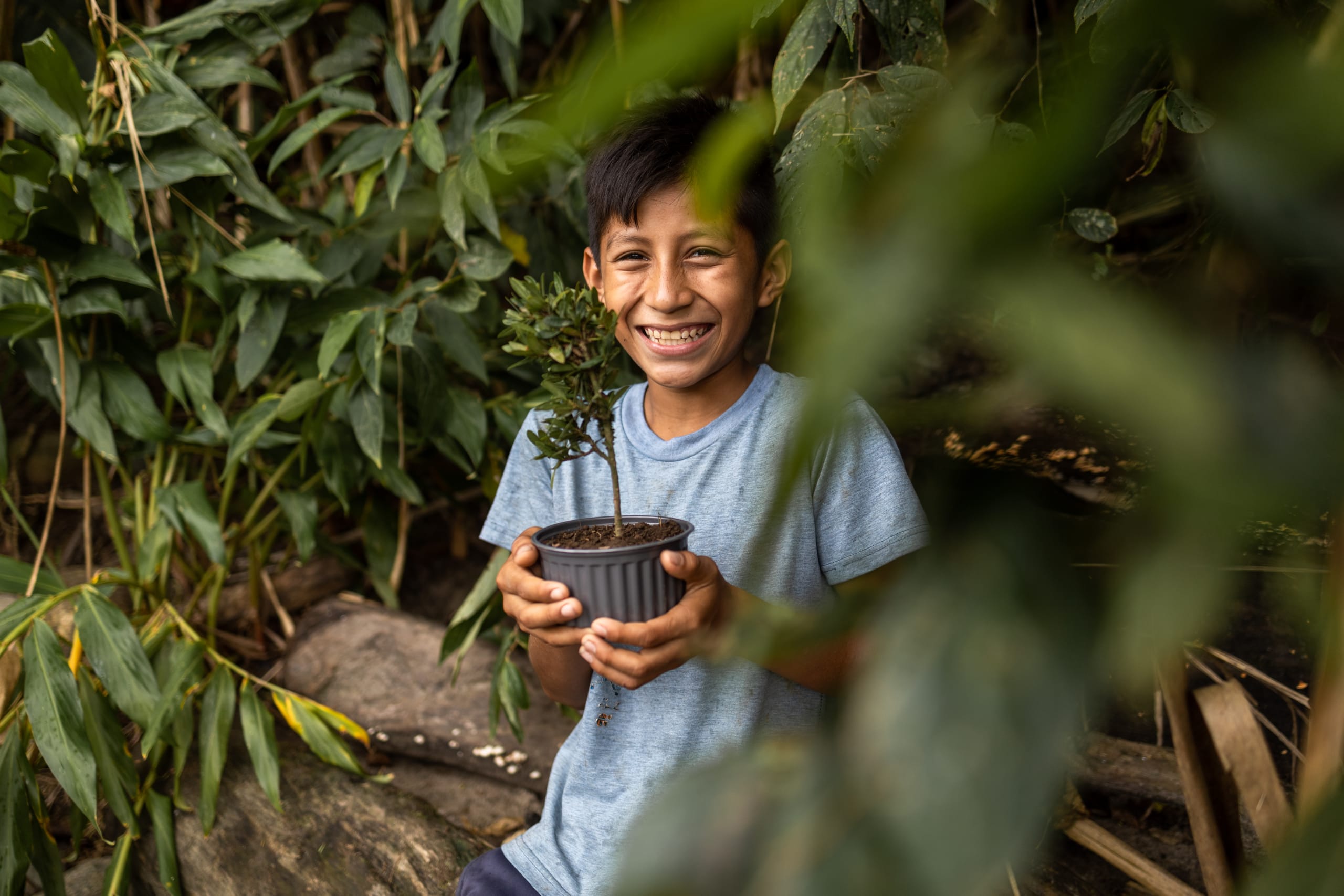 A boy in a blue shirt stands under a tree and holds a pot with a plant in it.
