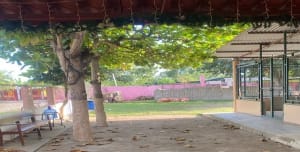 A ground for building a school