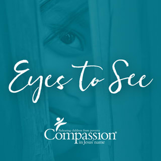 A girl peeks through a small gap in a wooden fence. She has a shy smile. This is the cover art for Compassion's Eyes to See curriculum series.