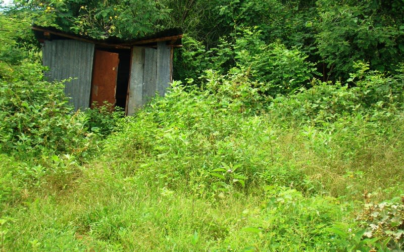 A metal outhouse stands in greenery.